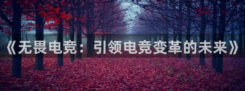 一竞技：《无畏电竞：引领电竞变革的未来》