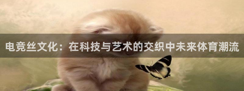 第一竞技游戏：电竞丝文化：在科技与艺术的交织中未来体育潮流