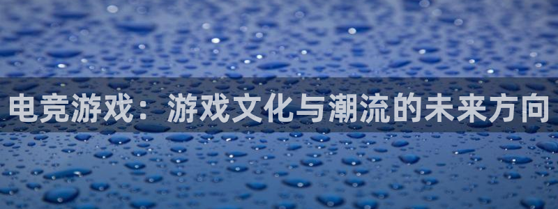 一竞技官网：电竞游戏：游戏文化与潮流的未来方向