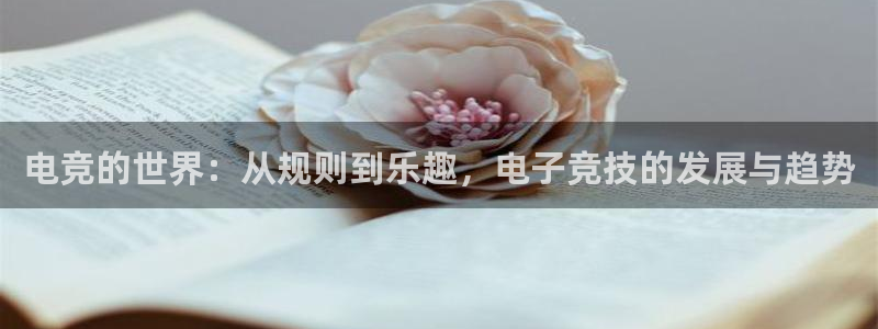 一竞技app官方网站：电竞的世界：从规则到乐趣，电子竞技的发展与趋势