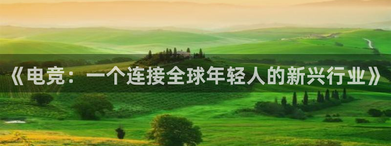 一竞技平台怎么样：《电竞：一个连接全球年轻人的新兴行业》