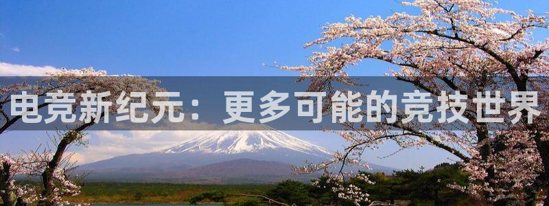一竞技app官方网站：电竞新纪元：更多可能的竞技世界