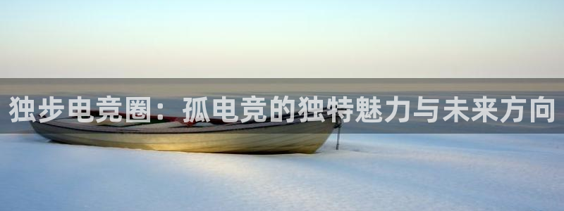 一竞技官网地址：独步电竞圈：孤电竞的独特魅力与未来方向