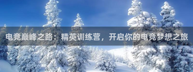 第一竞技游戏：电竞巅峰之路：精英训练营，开启你的电竞梦想之旅